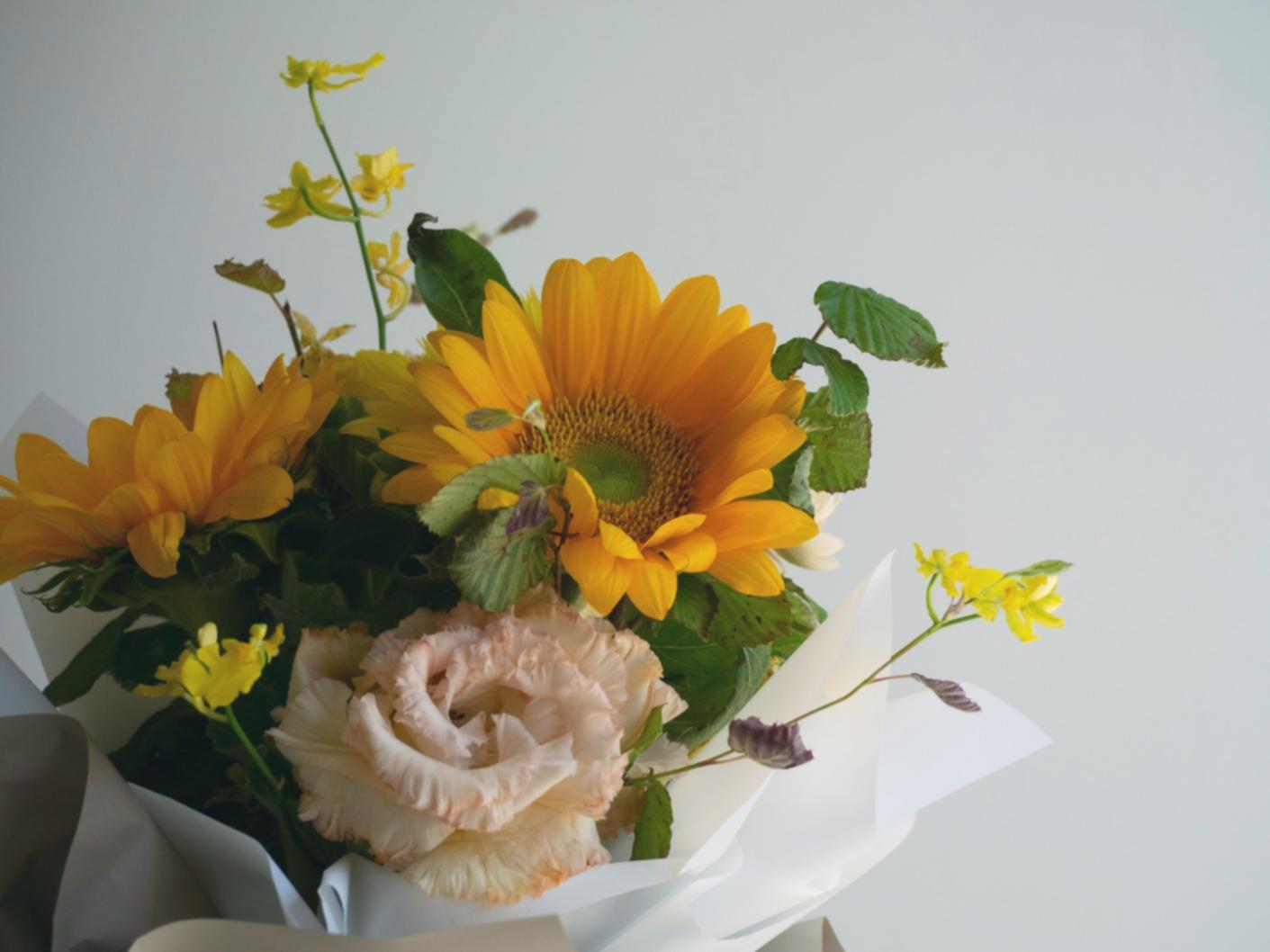 Примеры проектов по озеленению интерьеров