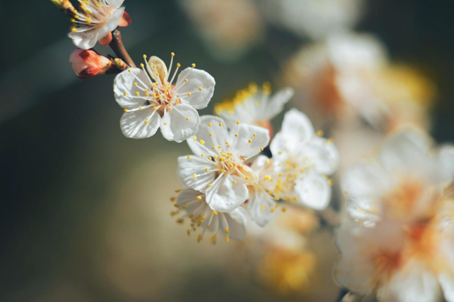 Участники образовательных программ