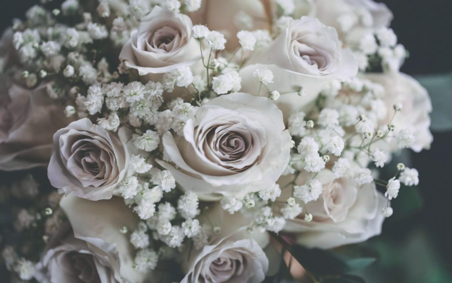 Профессиональный дизайн интерьера с комнатными растениями