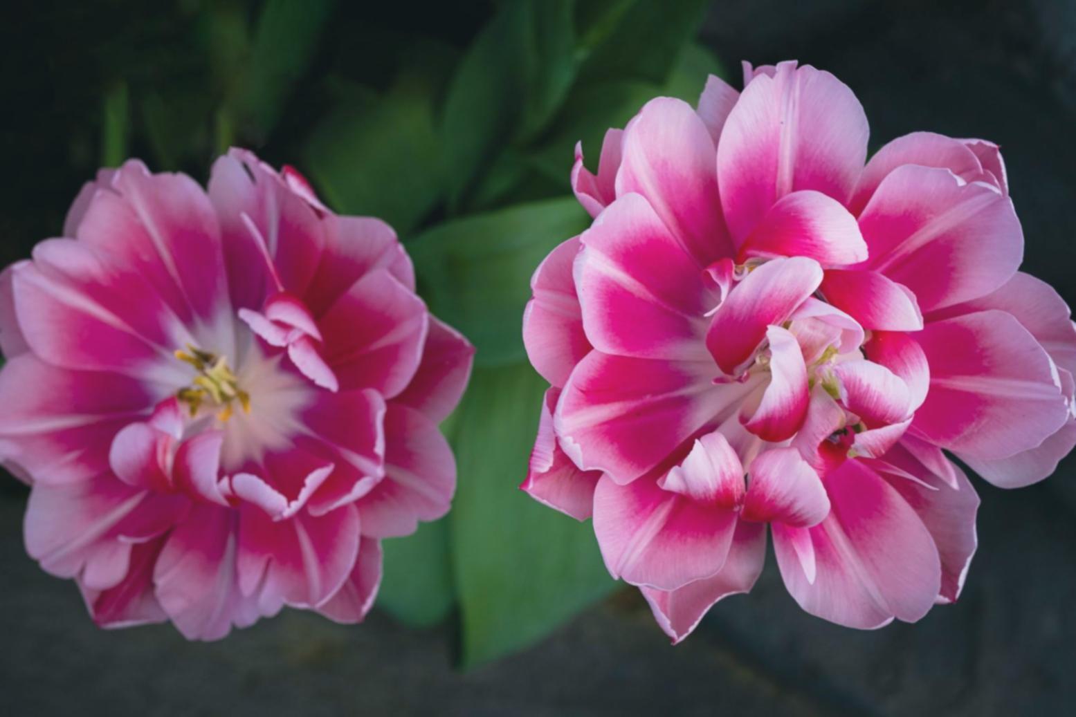 Проектная работа студентов